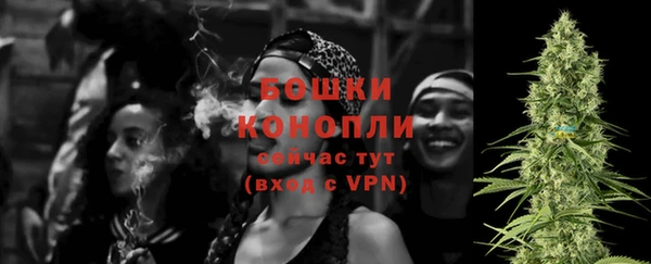 твердый Абаза