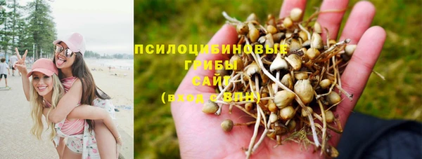 твердый Абаза