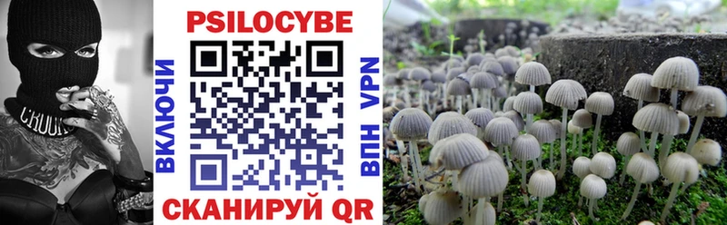 Псилоцибиновые грибы мицелий OMG ТОР Ядрин