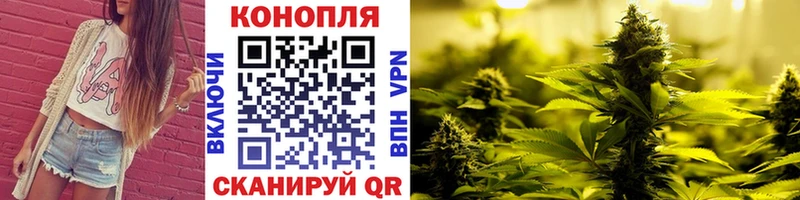 сколько стоит  Ядрин  mega маркетплейс  Шишки марихуана сатива 